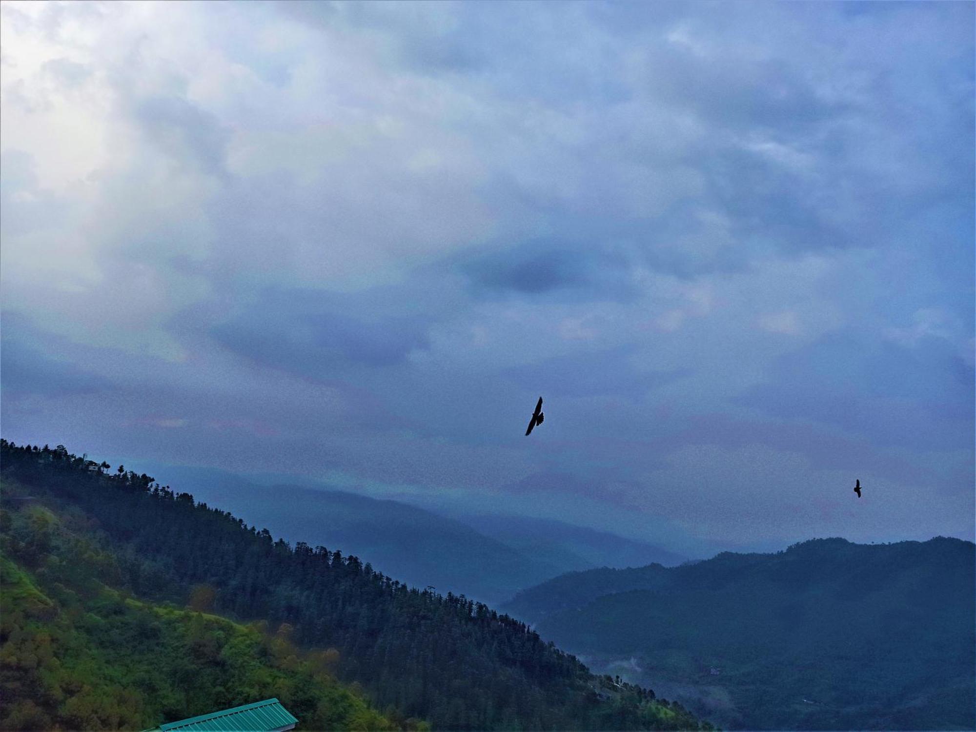 Mountain And Peace Shimla Exterior foto
